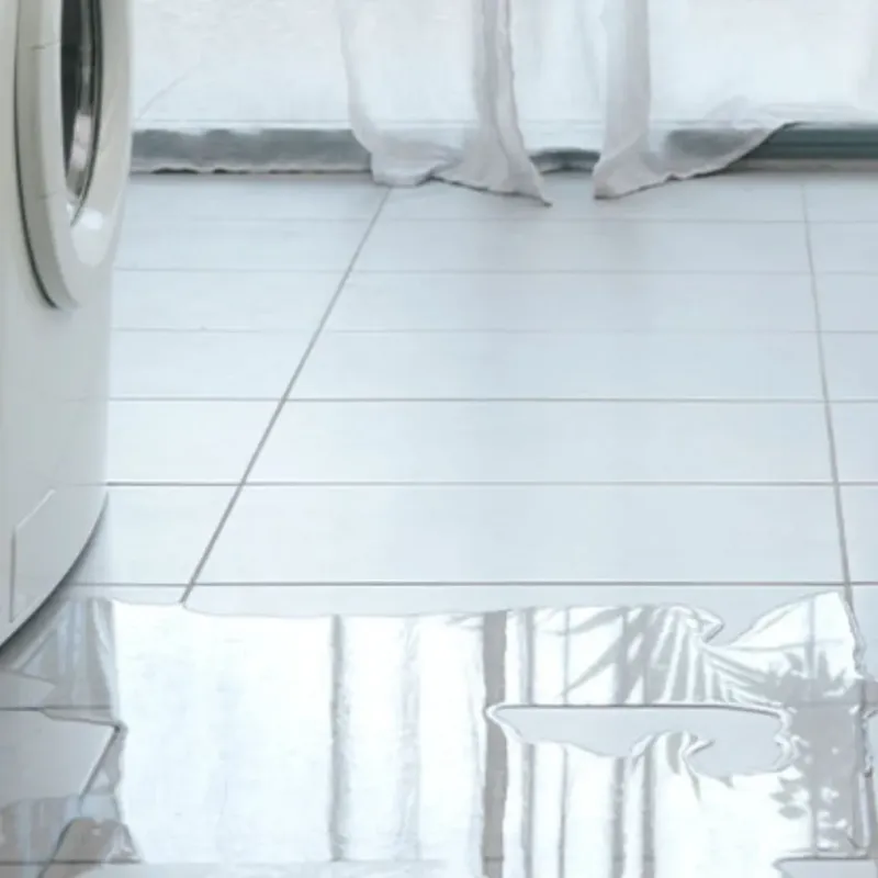 Appliance Leak Cleanup in Limerick, ME