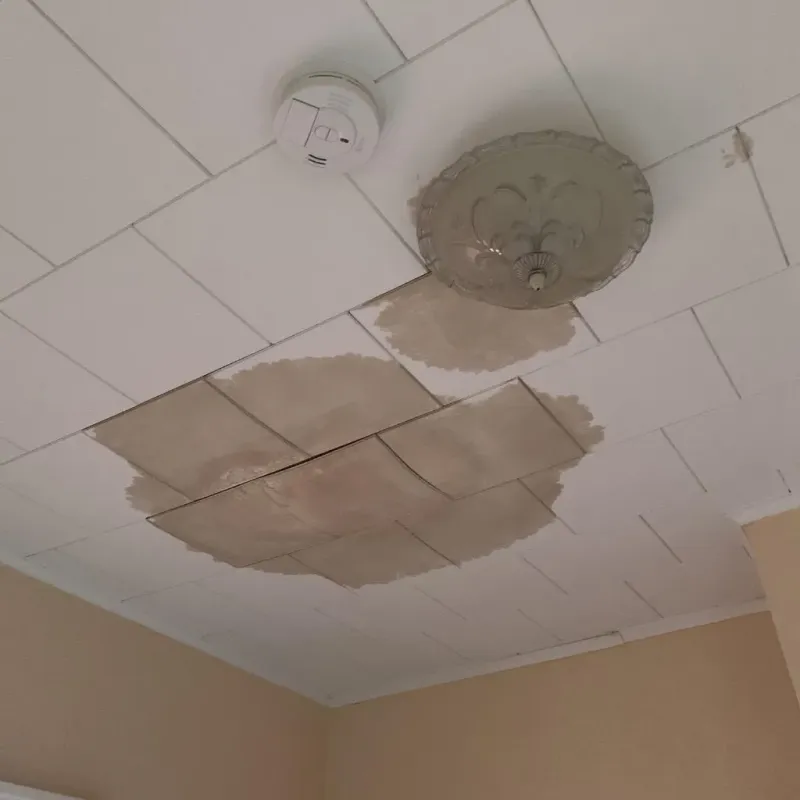 Ceiling Water Damage Repair in Limerick, ME