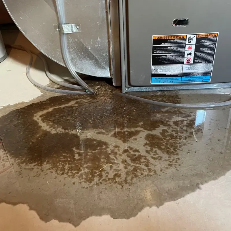 Pipe Burst and Leak Restoration in Limerick, ME